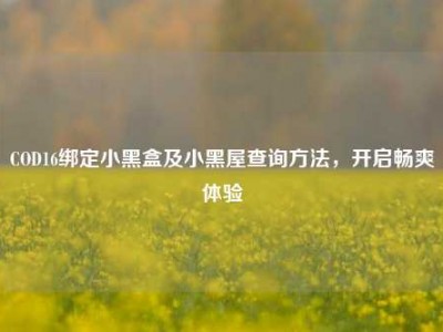 COD16绑定小黑盒及小黑屋查询方法，开启畅爽体验