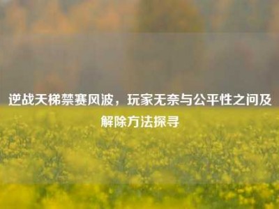 逆战天梯禁赛风波，玩家无奈与公平性之问及解除方法探寻