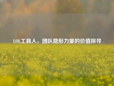LOL工具人，团队隐形力量的价值探寻