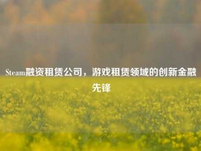 Steam融资租赁公司，游戏租赁领域的创新金融先锋