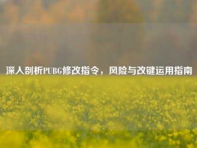 深入剖析PUBG修改指令，风险与改键运用指南
