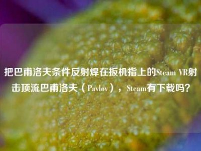 把巴甫洛夫条件反射焊在扳机指上的Steam VR射击顶流巴甫洛夫（Pavlov），Steam有下载吗？