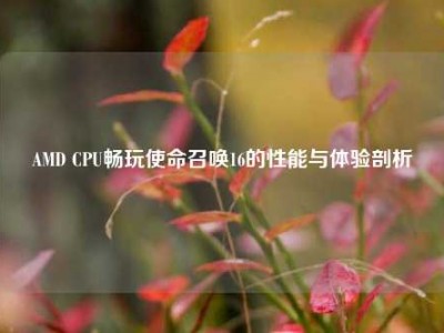 AMD CPU畅玩使命召唤16的性能与体验剖析