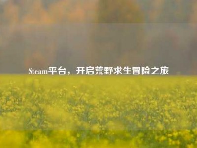 Steam平台，开启荒野求生冒险之旅