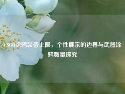 CSGO涂鸦装备上限，个性展示的边界与武器涂鸦数量探究