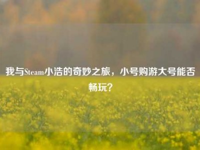 我与Steam小浩的奇妙之旅，小号购游大号能否畅玩？