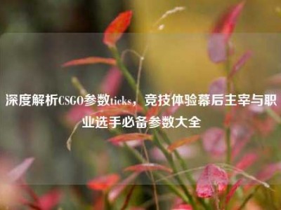深度解析CSGO参数ticks，竞技体验幕后主宰与职业选手必备参数大全