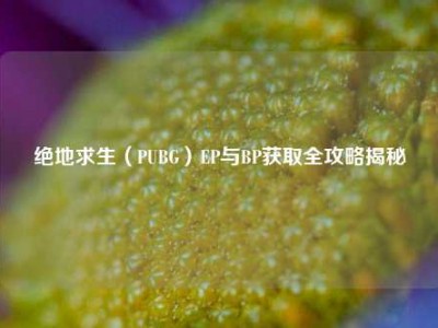 绝地求生（PUBG）EP与BP获取全攻略揭秘