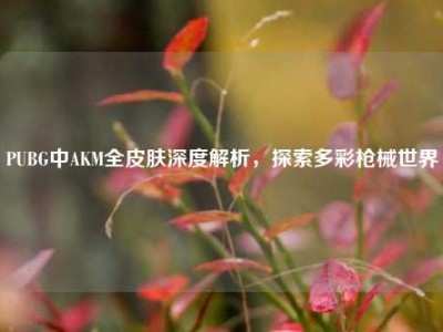 PUBG中AKM全皮肤深度解析，探索多彩枪械世界