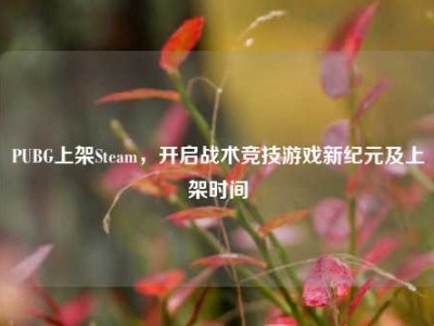 PUBG上架Steam，开启战术竞技游戏新纪元及上架时间