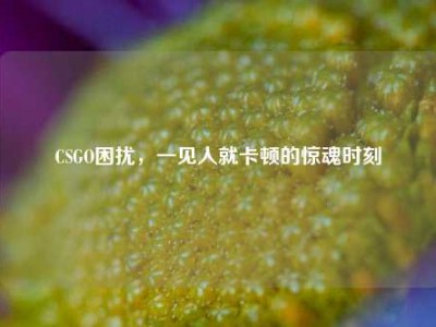 CSGO困扰，一见人就卡顿的惊魂时刻