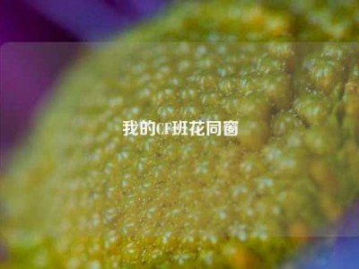 我的CF班花同窗