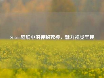 Steam壁纸中的神秘死神，魅力视觉呈现