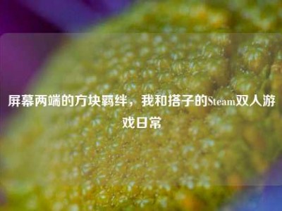屏幕两端的方块羁绊，我和搭子的Steam双人游戏日常
