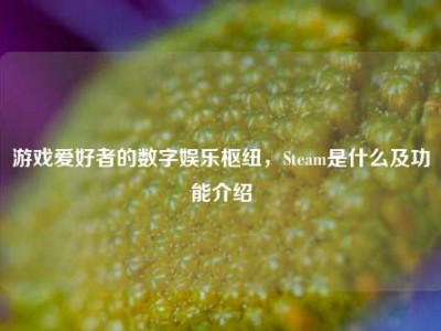 游戏爱好者的数字娱乐枢纽，Steam是什么及功能介绍