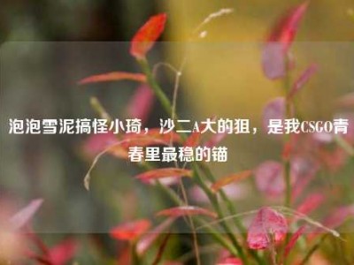 泡泡雪泥搞怪小琦，沙二A大的狙，是我CSGO青春里最稳的锚