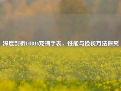 深度剖析COD16宠物手表，性能与检视方法探究
