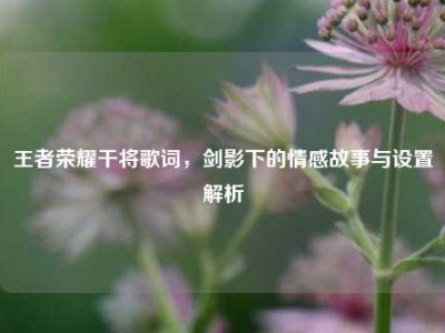 王者荣耀干将歌词，剑影下的情感故事与设置解析