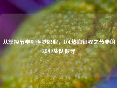 从掌控节奏到逐梦职业，LOL热血征程之节奏的职业战队探寻