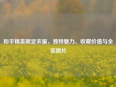 和平精英限定衣服，独特魅力、收藏价值与全览图片