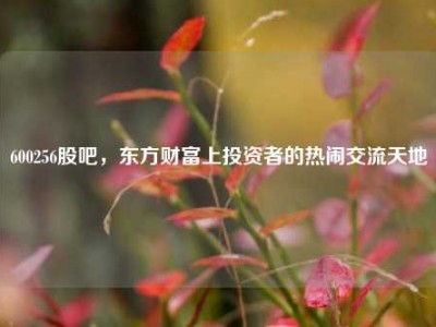600256股吧，东方财富上投资者的热闹交流天地