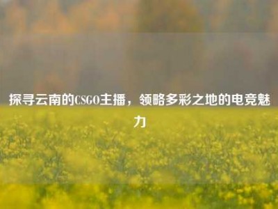 探寻云南的CSGO主播，领略多彩之地的电竞魅力