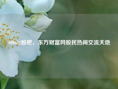 000652股吧，东方财富网股民热闹交流天地