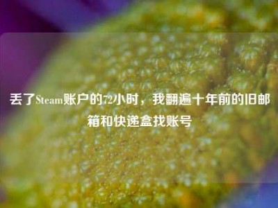 丢了Steam账户的72小时，我翻遍十年前的旧邮箱和快递盒找账号
