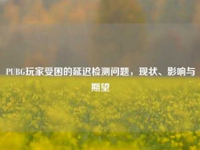 PUBG玩家受困的延迟检测问题，现状、影响与期望