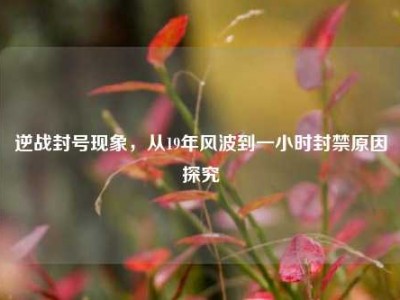 逆战封号现象，从19年风波到一小时封禁原因探究