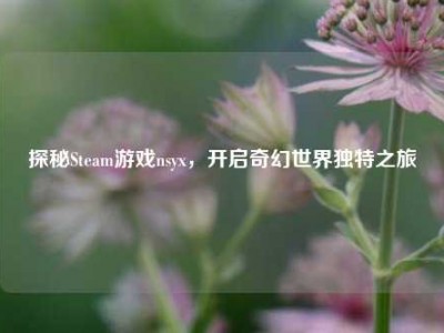 探秘Steam游戏nsyx，开启奇幻世界独特之旅