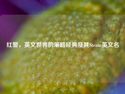 红警，英文世界的策略经典及其Steam英文名