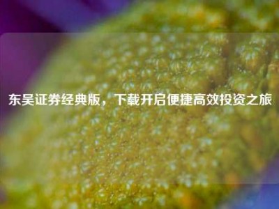 东吴证券经典版，下载开启便捷高效投资之旅