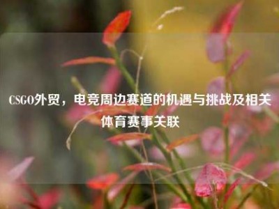 CSGO外贸，电竞周边赛道的机遇与挑战及相关体育赛事关联