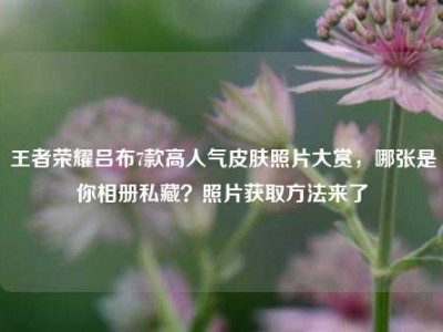王者荣耀吕布7款高人气皮肤照片大赏，哪张是你相册私藏？照片获取方法来了