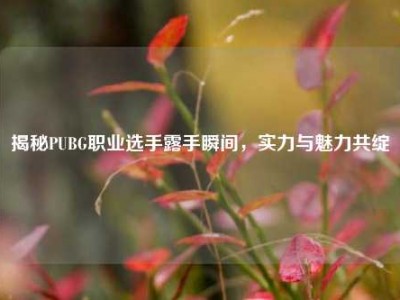揭秘PUBG职业选手露手瞬间，实力与魅力共绽