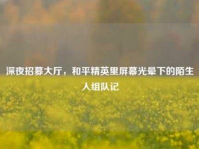 深夜招募大厅，和平精英里屏幕光晕下的陌生人组队记