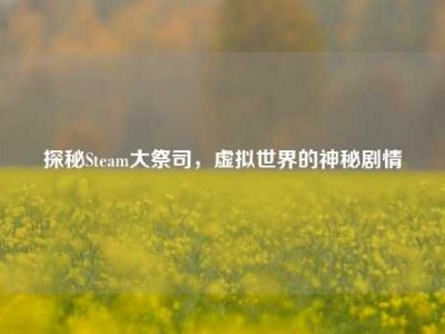 探秘Steam大祭司，虚拟世界的神秘剧情