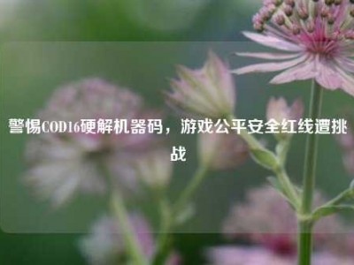 警惕COD16硬解机器码，游戏公平安全红线遭挑战