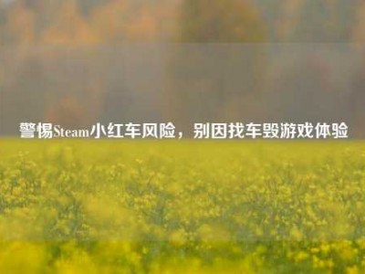 警惕Steam小红车风险，别因找车毁游戏体验