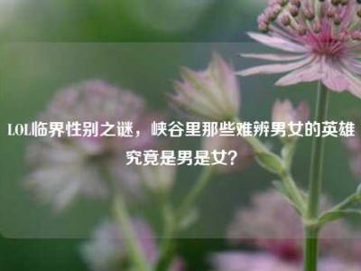 LOL临界性别之谜，峡谷里那些难辨男女的英雄究竟是男是女？