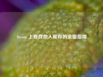 Steam 上查找他人昵称的全面指南
