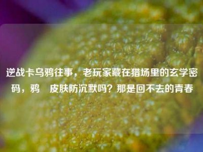 逆战卡乌鸦往事，老玩家藏在猎场里的玄学密码，鸦曈皮肤防沉默吗？那是回不去的青春
