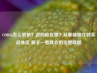 COD16怎么收枪？送的枪在哪？从基础操作到实战身法 新手一看就会的完整攻略