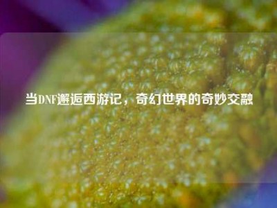 当DNF邂逅西游记，奇幻世界的奇妙交融
