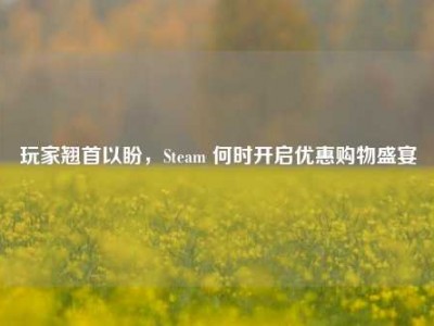 玩家翘首以盼，Steam 何时开启优惠购物盛宴