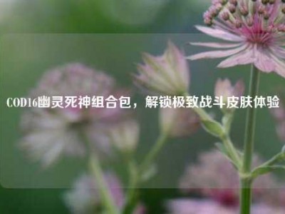 COD16幽灵死神组合包，解锁极致战斗皮肤体验