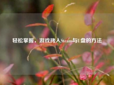 轻松掌握，游戏拷入Steam与U盘的方法