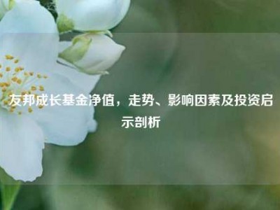 友邦成长基金净值，走势、影响因素及投资启示剖析