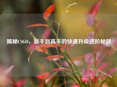 揭秘CSGO，新手到高手的快速升级进阶秘籍